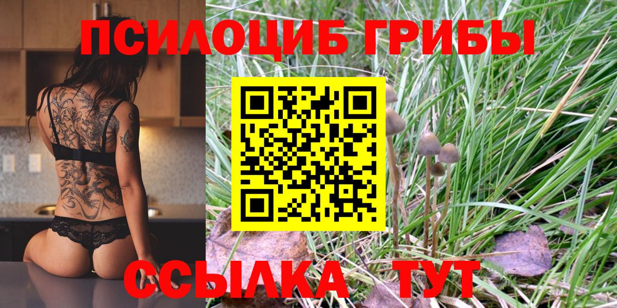 Псилоцибиновые грибы прущие грибы Аксай